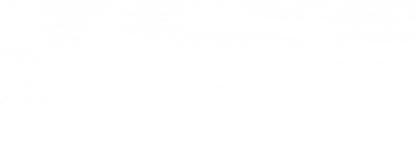 Sonsray